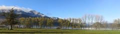 Wide mountain landscape with snow on the distant peaks, a line of trees and a blue sky.